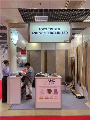 Η 35η Διεθνής Έκθεση επίπλων, εξαρτημάτων επίπλων και ταπετσαριών (MEBEL 2024...