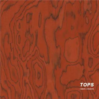 Ο καπλαμάς Red Cloud Maple Reconstitute